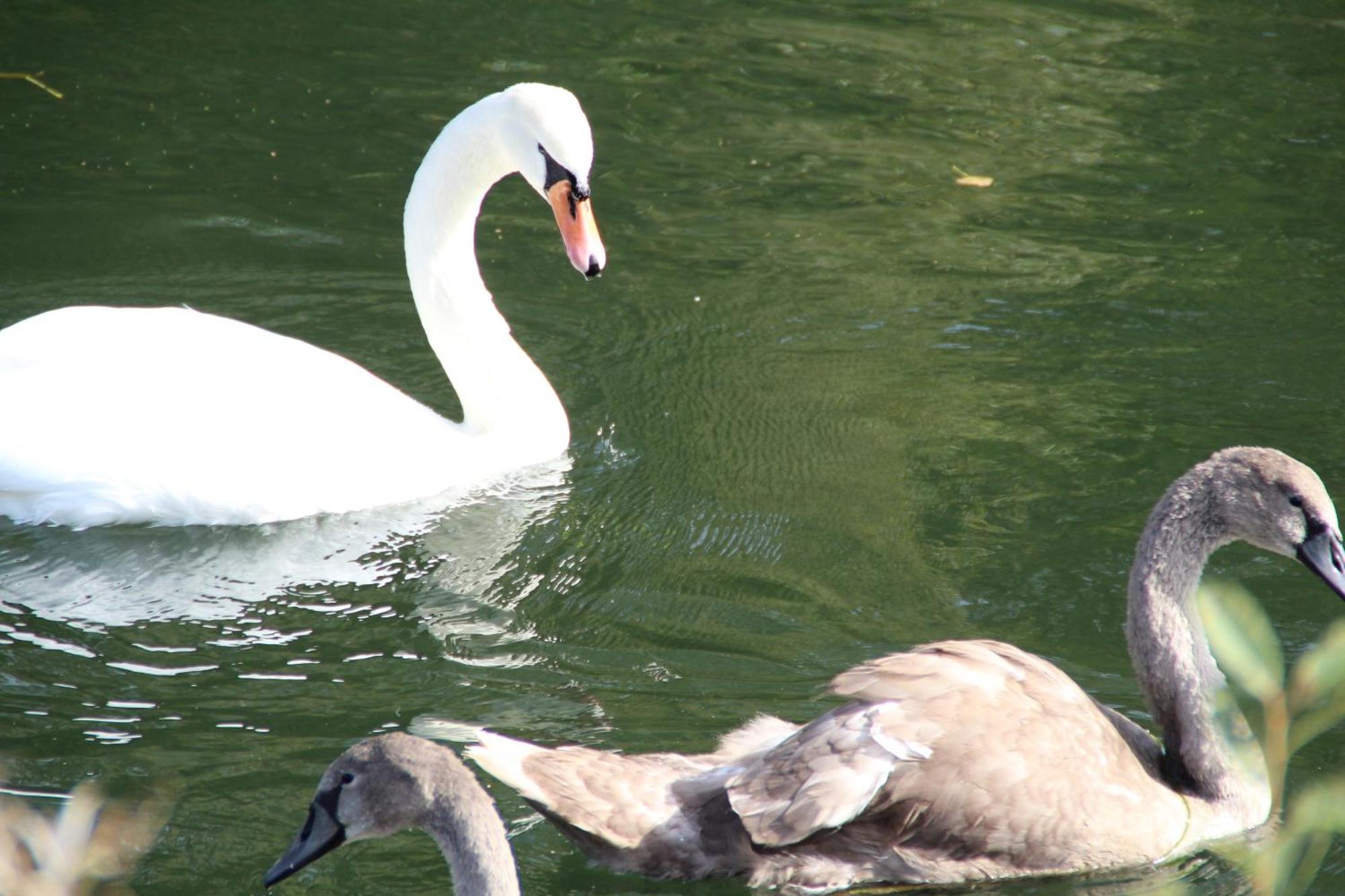 Sealov Hebergements Insolites- Linge, Menage Et Velos Inclus Eaucourt-sur-Somme Zimmer foto