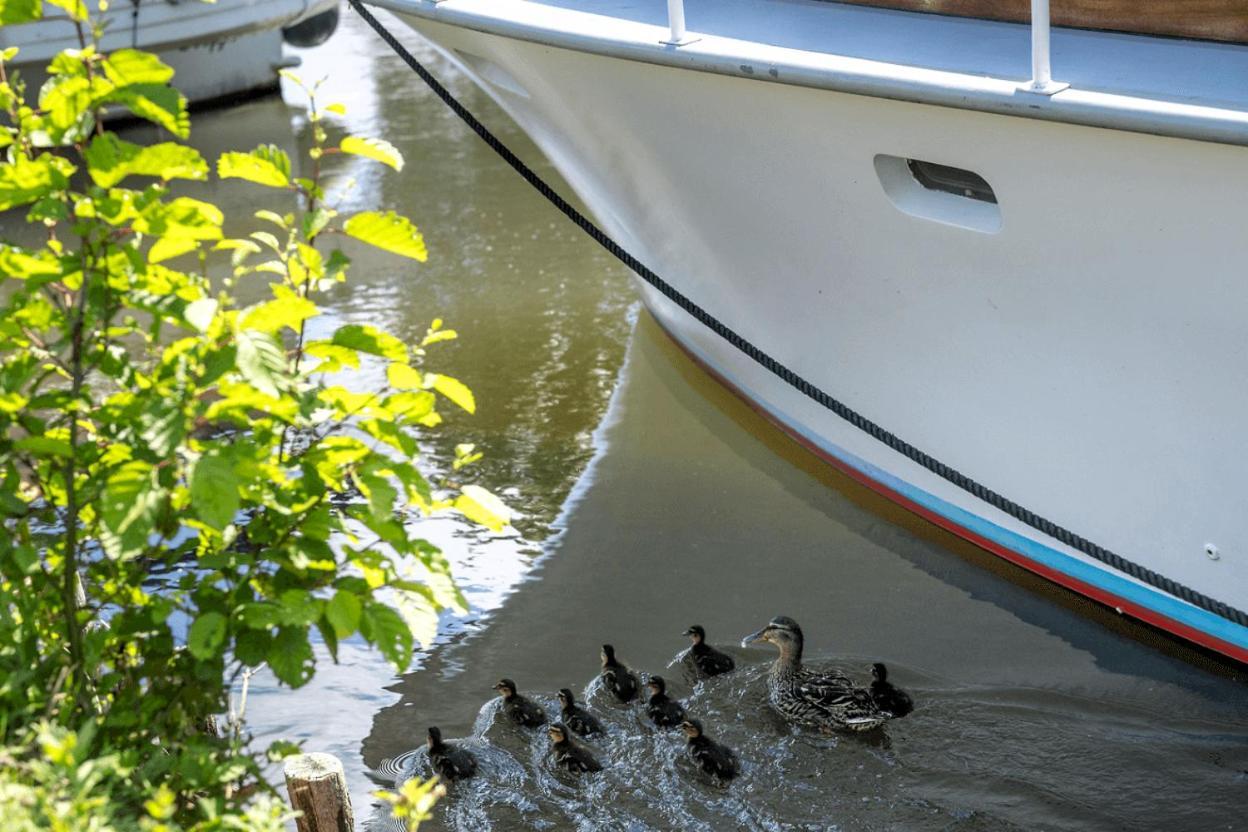Sealov Hebergements Insolites- Linge, Menage Et Velos Inclus Eaucourt-sur-Somme Exterior foto